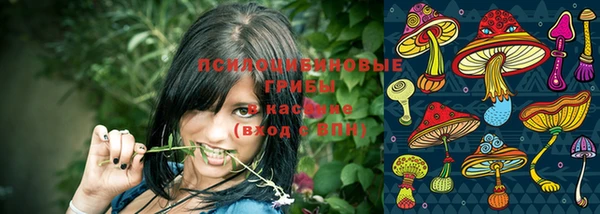 МДПВ Горняк