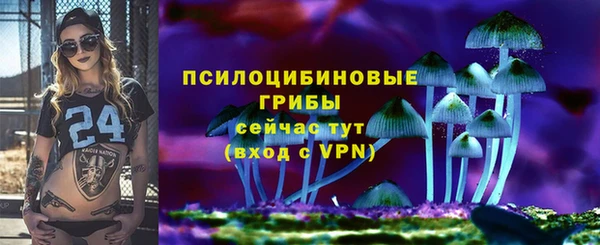 герыч Горнозаводск