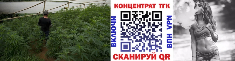 ТГК концентрат  Купить где  Поронайск 