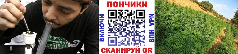 МАРИХУАНА конопля Поронайск